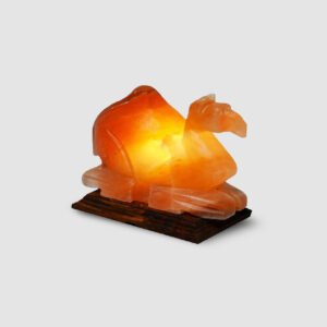 HandiCraft Salt Lamps