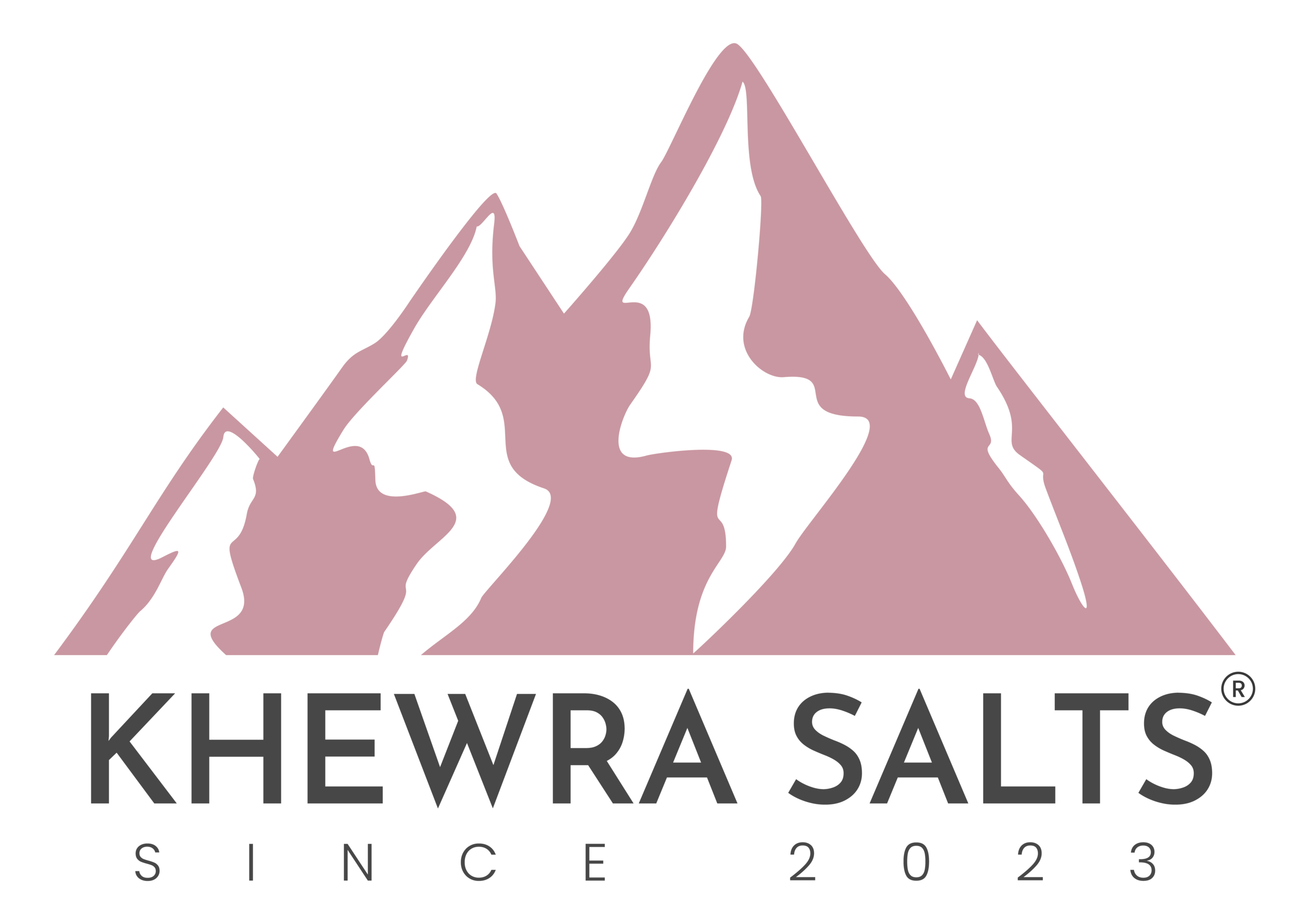 Khewra Salts Logo